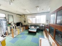 トイプードル13