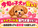 ポップ1