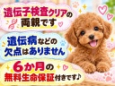 ポップ3