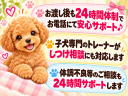 ポップ4
