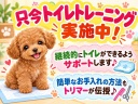 ポップ5